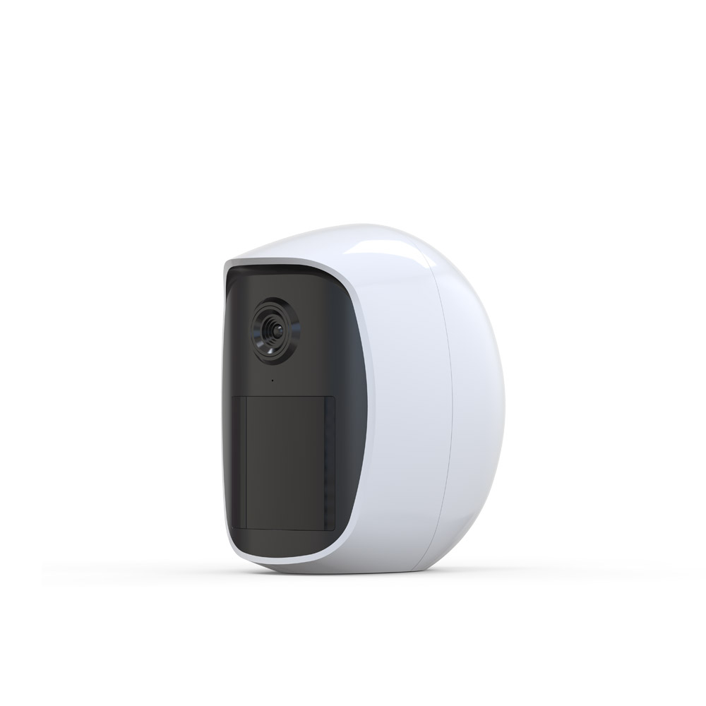 iGuard-202 AI video analysis and motion detection compos